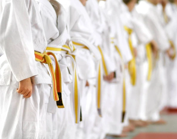 students martial arts training